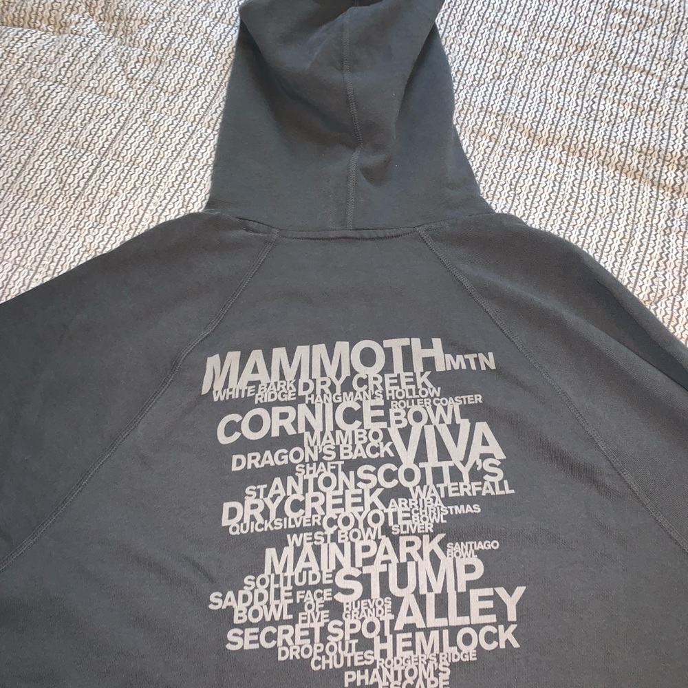 James Perse Men’s Mammoth pullover hoodie